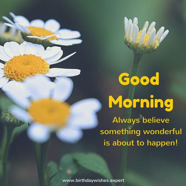 https://www.birthdaywishes.expert/good-morning-quotes/3/